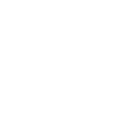 windows server